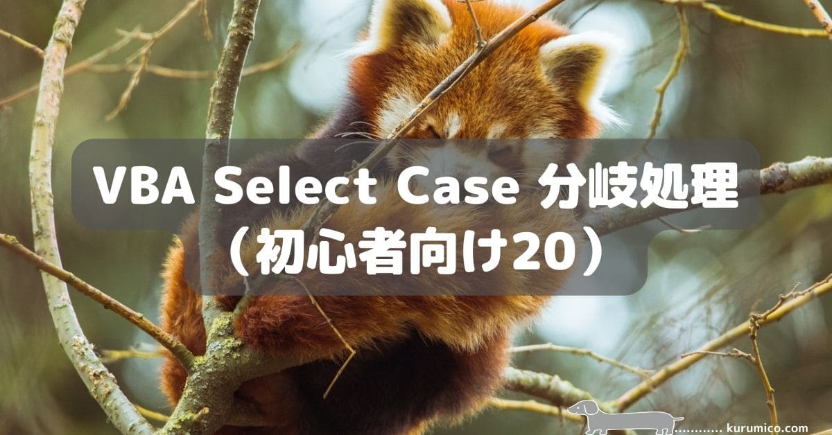 Excel VBA Select Case分岐（初心者向け20）