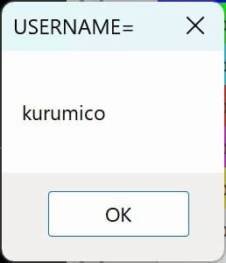 Environ("USERNAME")の結果